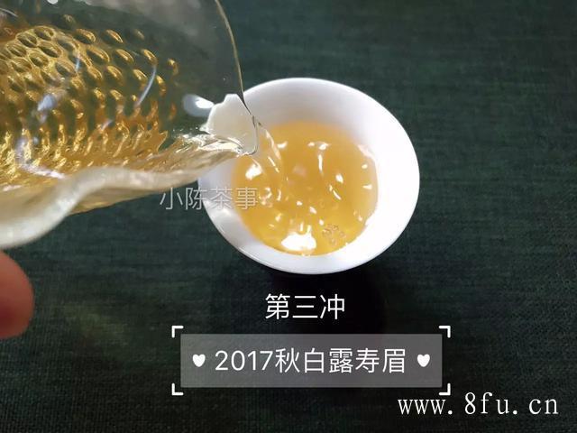 白茶口感特征