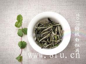 野生白牡丹茶，有什么过人之处吗？