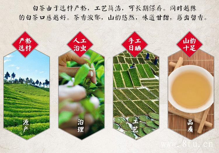 白茶的产地