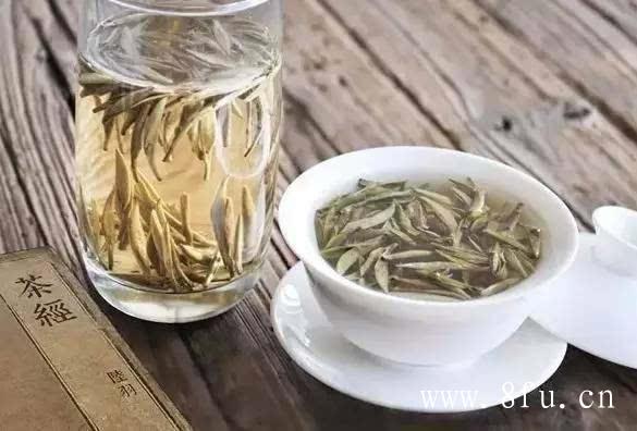 白牡丹茶的泡法