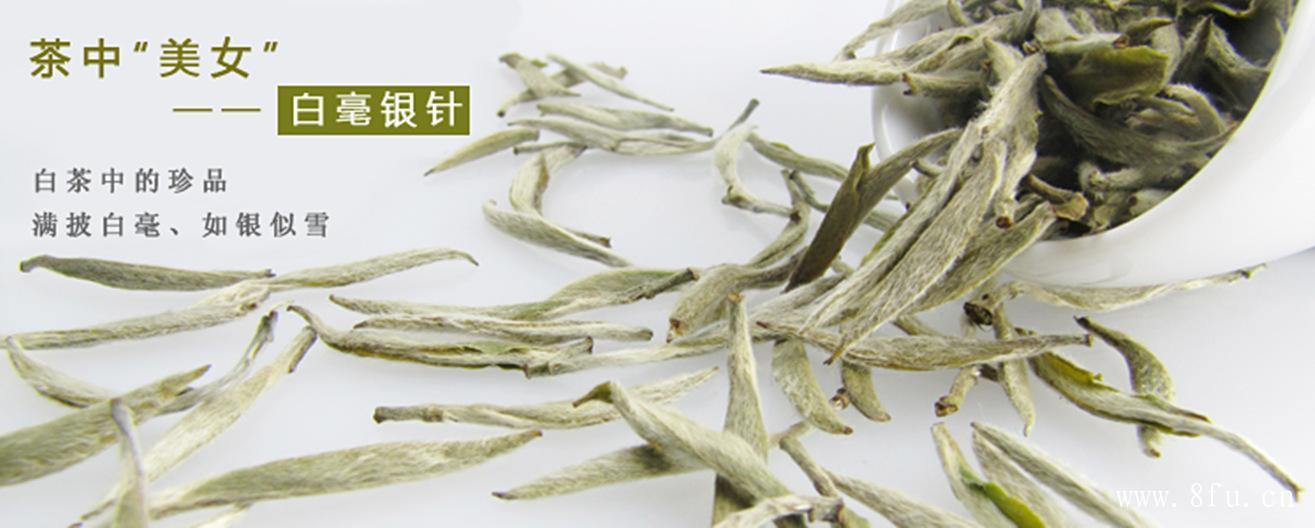 白牡丹茶制作原料