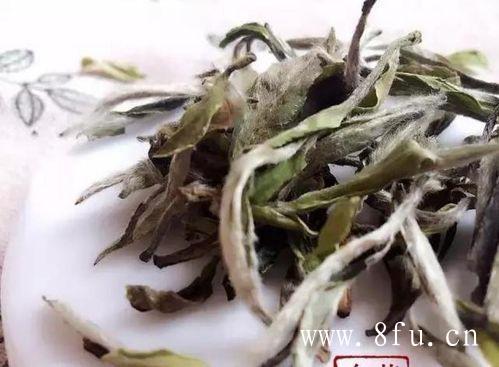 寿眉老茶有哪些特征,上等白茶多少钱一斤