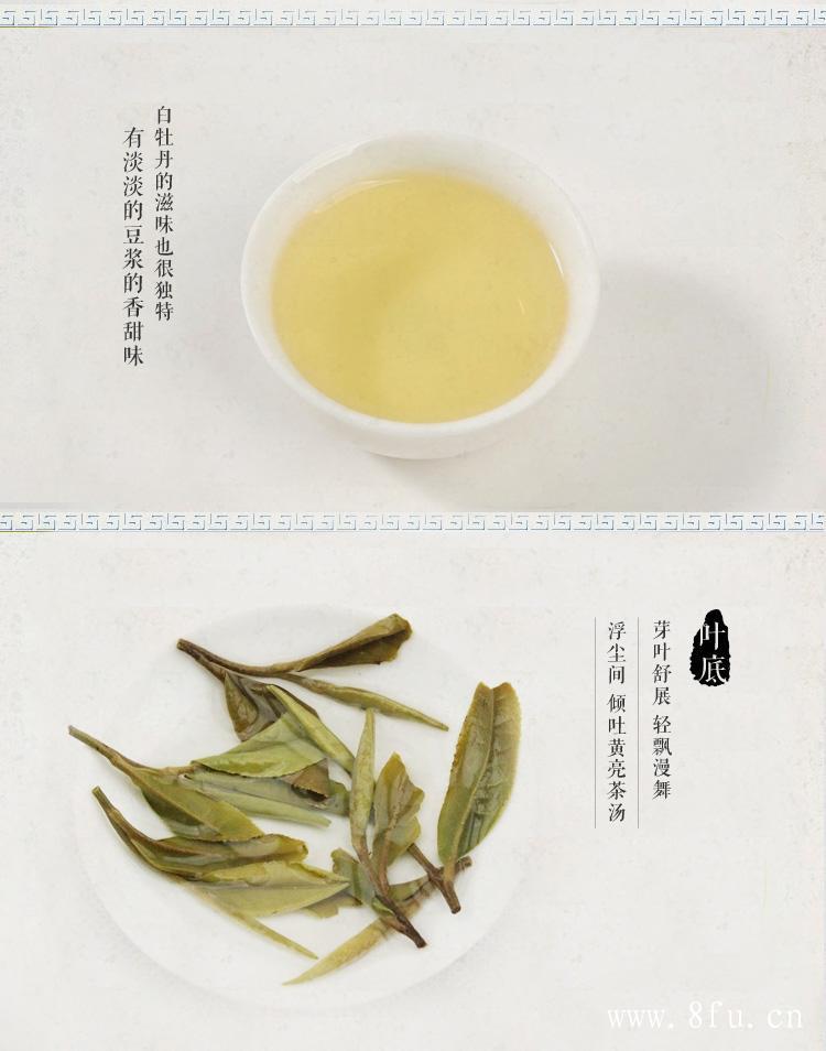 白茶怎么泡好喝