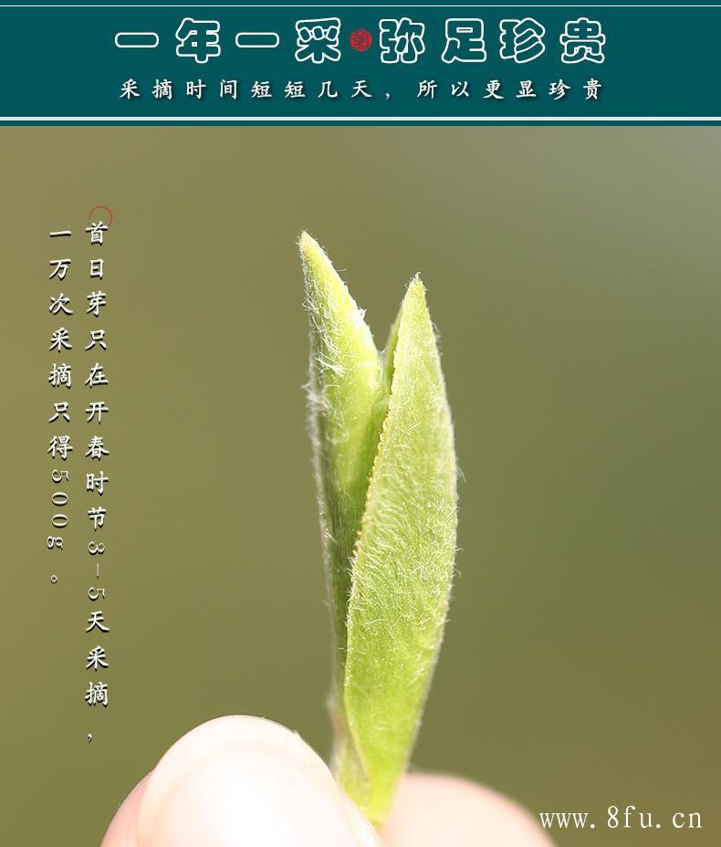 寿眉茶的口感特征