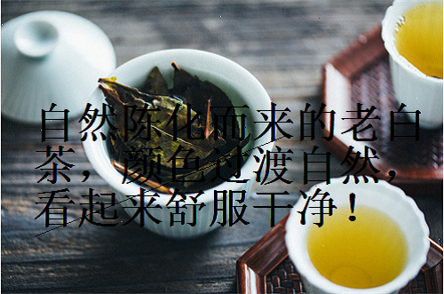 杜绝做旧老白茶的最好方式