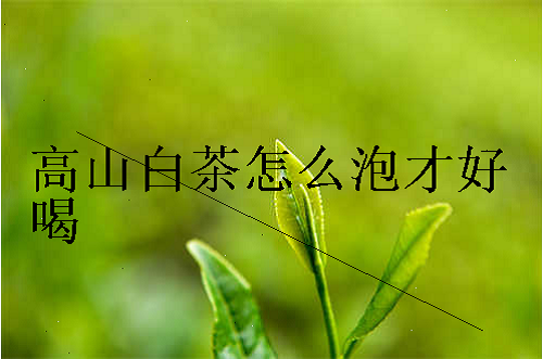 高山白茶怎么泡才好喝