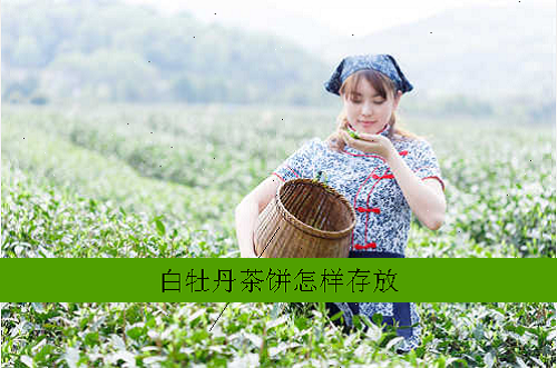 白牡丹茶饼怎样存放