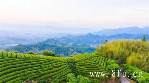 五月十八太姥神仙洞府饮茶